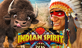 Indian  Spirit